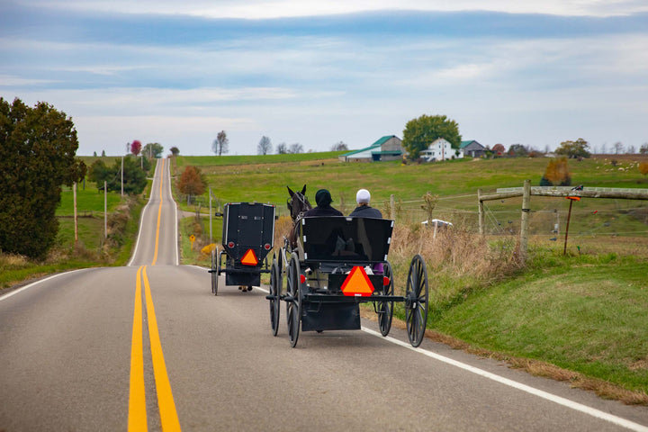 Amish horse and buggy