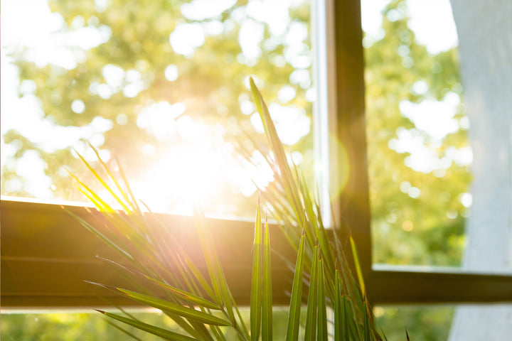 Window with sunlight coming through